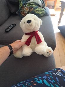 polar bear teddy