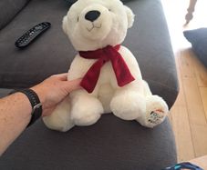 polar bear teddy