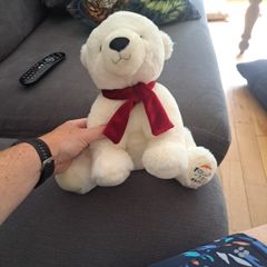 polar bear teddy