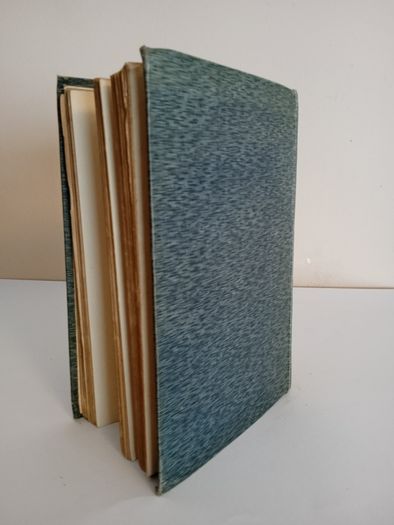 The Wicker Work Woman: A Chronicle of Our Times by Anatole France.Translation by M. P. Willcocks  (HQ85)