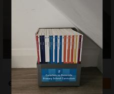 Books (primary school Curriculum)