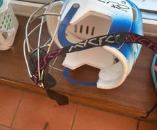 camogie