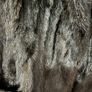 fur coat genuine real mink fur Germany bought Image 2