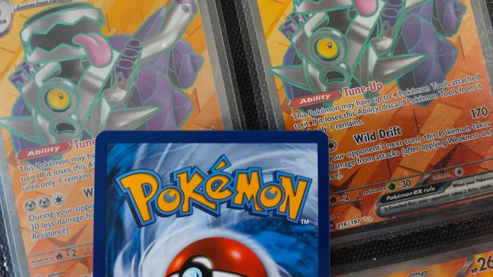 Morpeko ! Promo from Sword & Shield Era ! 2020 ! Pokemon Card !