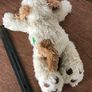 Very Soft Lying Dogs Image 7