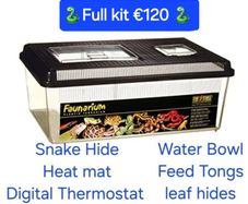 Vivarium / Corn Snake starter kits