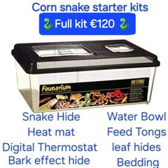 Vivarium / Corn Snake starter kits