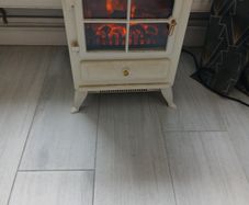Electric fire