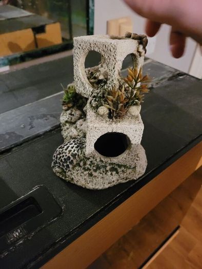 tank ornament