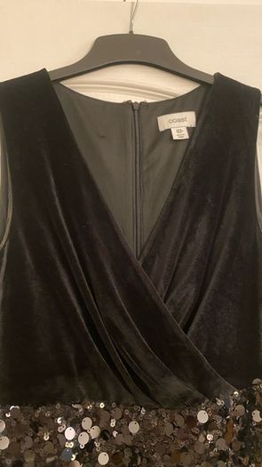 Coast velvet and sequin  dress