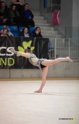 Gymnastics leotard