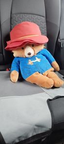 Padding bear