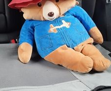 Padding bear