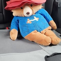 Padding bear