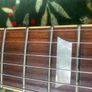 Tanglewood Les Paul Made In Japan Image 7