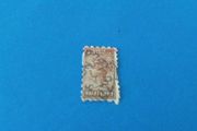 1893 South Australia Queen Victoria Half Penny