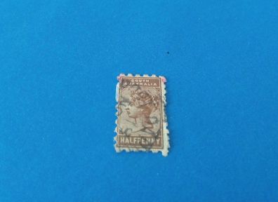1893 South Australia Queen Victoria Half Penny