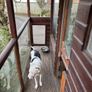 Garden doghouse Image 9