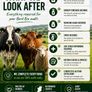 Bord Bia Audit Prep Service  Dairy, Beef & Sheep Image 3