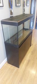 fluval 200 led fish tank