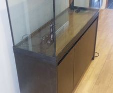 fluval 200 led fish tank