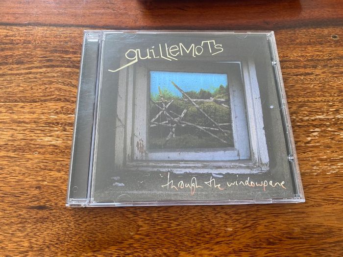 Guillemots CD Through The Windowpane