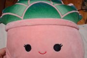 Afiyah the Squishmallow