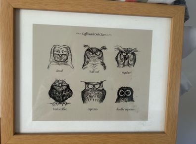 owl print