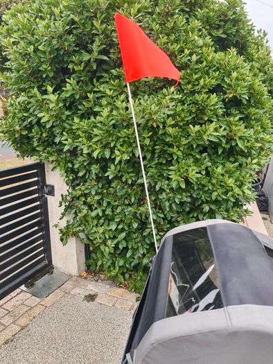 Bike Trailer