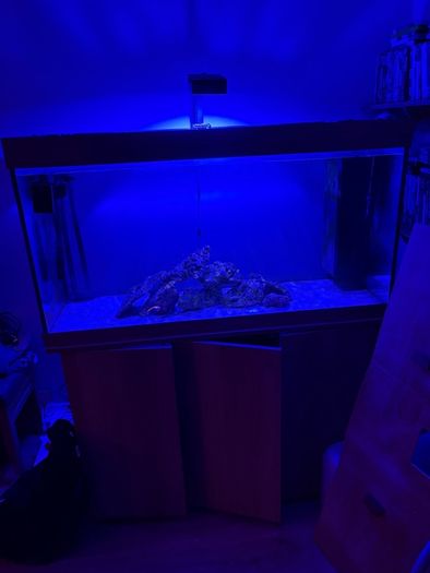 Juwel 350 with stand