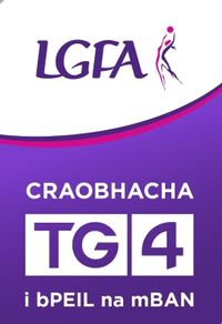 LGFA Final Ticket