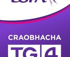LGFA Final Ticket