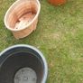 plant pots Image 3