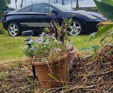 Toyota Celica 2000