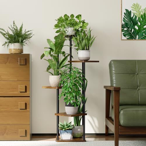Indoor Plant Shelf