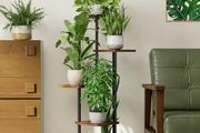 Indoor Plant Shelf