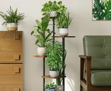 Indoor Plant Shelf