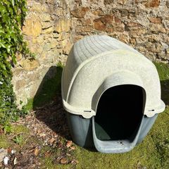 kennel