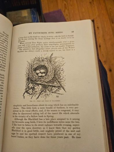 My Life As A Naturalistic. By W. Percival Westell. First Edition 1918 Hardback In Fair Condition.  See Photos For Same.