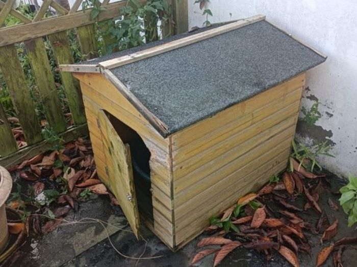 Dog kennel and plastic bed
