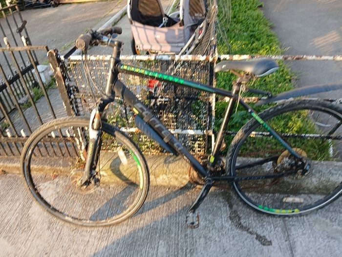 carrerra bike