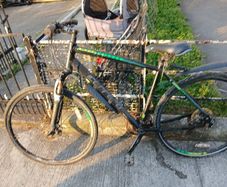 carrerra bike