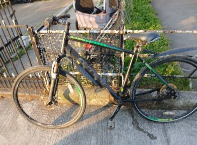 carrerra bike