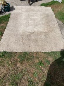 beige rug