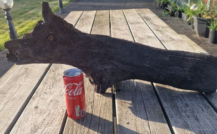 bog oak