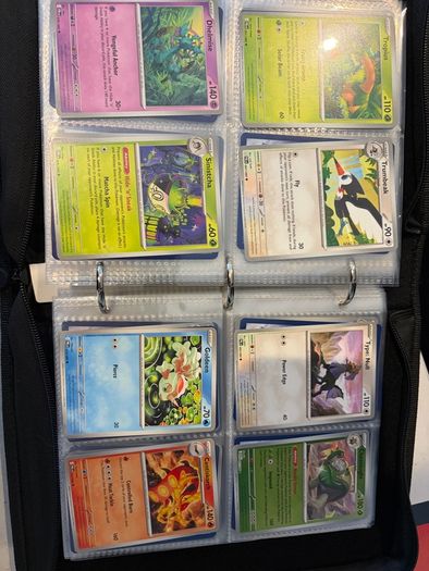 Pokemon TCG Card Collection (480 Cards)