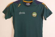 offaly gaa jersey