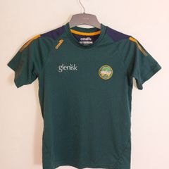 offaly gaa jersey