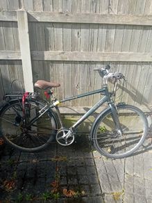 Raleigh bike
