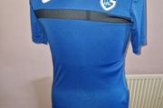 Genk Football training Jersey